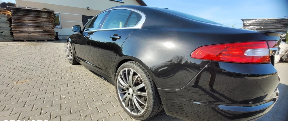 Jaguar XF cena 40000 przebieg: 151000, rok produkcji 2010 z Biecz małe 301